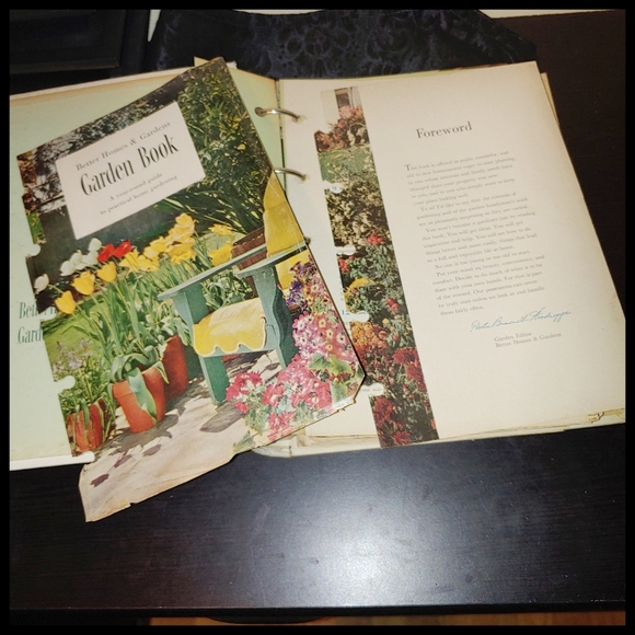 1951 Better Homes and Garden Garden Book - Picture 5 of 16